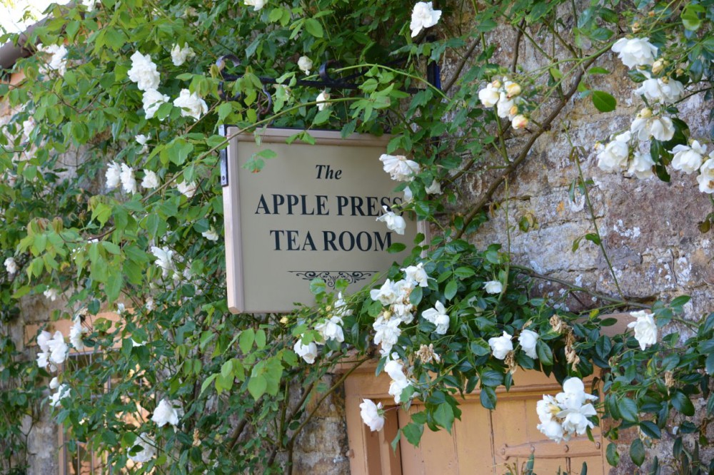 Gardens - Newton House - Newton Surmaville