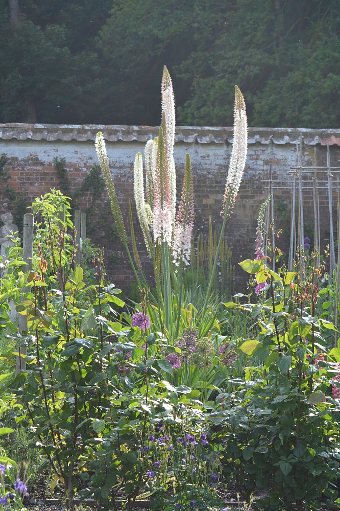 Newton House - Newton Surmaville